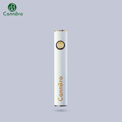 650-mAh-Batterie (P140-C)