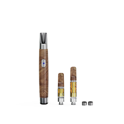 WOOD-P-Taste Vorheizung Einstellbare Spannung Magnetbatterie（P160-C）Lagerbestand in Deutschland