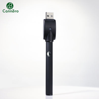 USB-Knopfzellen（P105-M）Lagerbestand in Deutschland