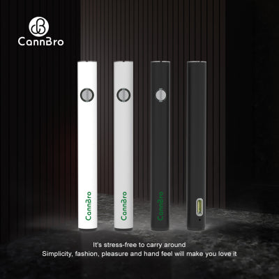 Typ-C Knopfzellen（P105-C）Lagerbestand in Deutschland