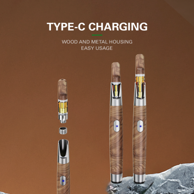 WOOD-P-Taste Vorheizung Einstellbare Spannung Magnetbatterie（P160-C）Lagerbestand in Deutschland