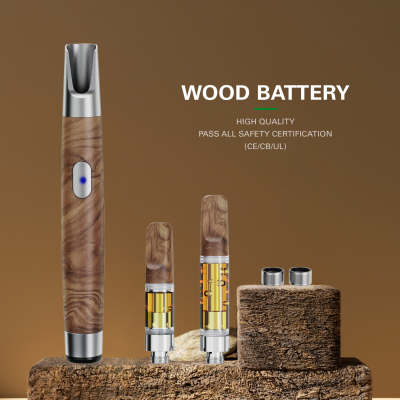 WOOD-P-Taste Vorheizung Einstellbare Spannung Magnetbatterie（P160-C）Lagerbestand in Deutschland