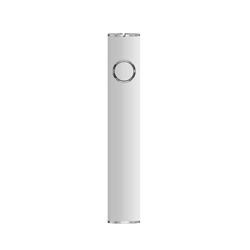 650-mAh-Batterie (P140-C)